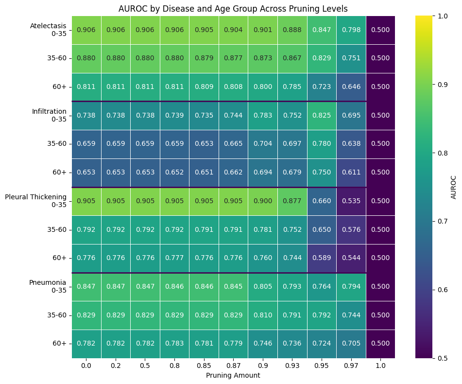 AUROC heatmap by age decade across pruning levels